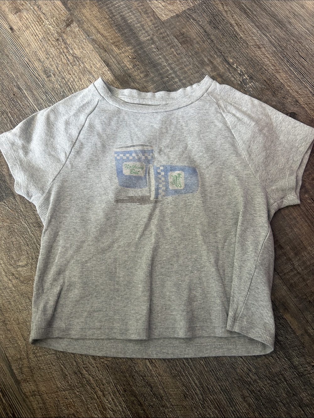 aerie Light Gray Ribbed Short-Sleeve Tee with Blue Chest Print
